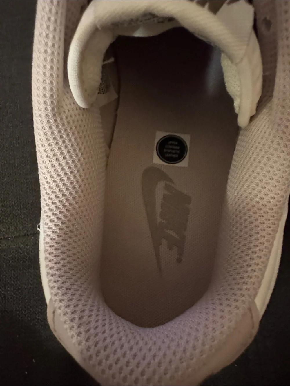 Nike Women’s Dunk Low “Silt Red/Malt/Pale Ivory/Sail.” Size 10